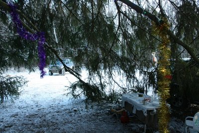 2016-01-01 Новый Год 2016 013.JPG