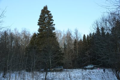 2016-01-01 Новый Год 2016 003.JPG