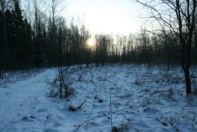 2016-01-01 Новый Год 2016 001.JPG