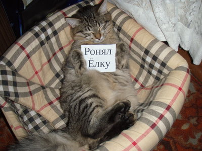 P1010017.JPG