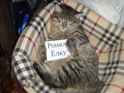 P1010018.JPG