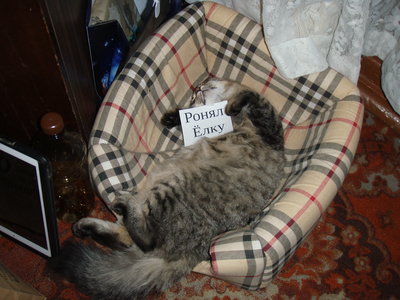 image.jpeg