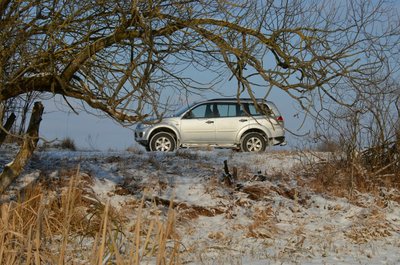 DSC_0060.jpg