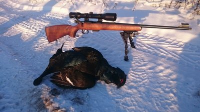 IMG-20160110-WA0002.jpg