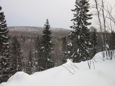 IMG_5838.JPG