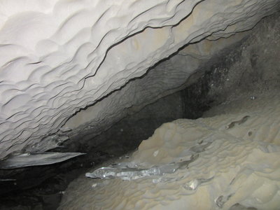 IMG_5790.JPG