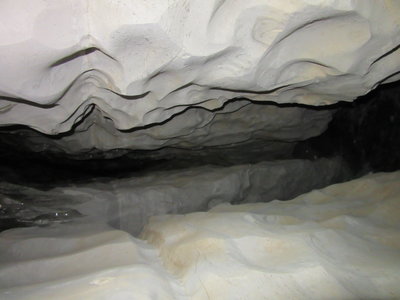 IMG_5781.JPG