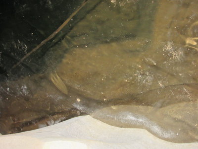 IMG_5768.JPG