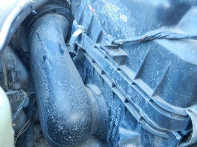 DSCN8317.JPG