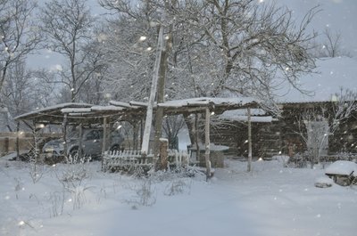DSC_0006.jpg