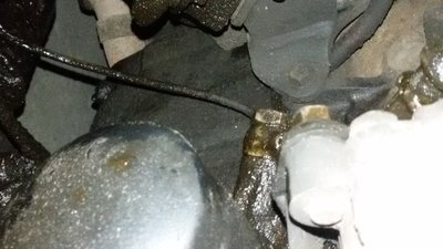 20160113_164912.jpg