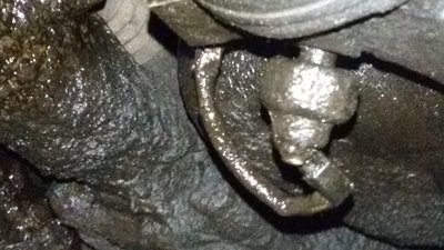 20160113_165051.jpg