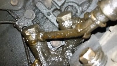 20160113_165203.jpg
