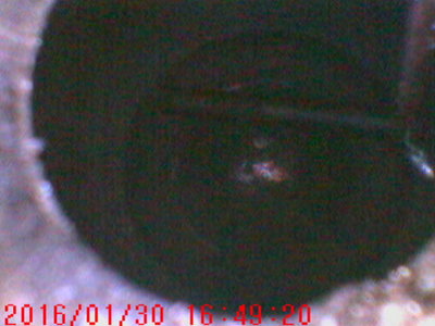 PICT0013.JPG