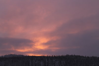 IMG_8912.JPG