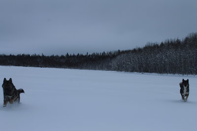 IMG_8914.JPG