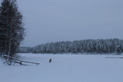 IMG_8857.JPG