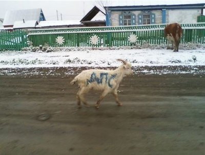 ДПС.jpg