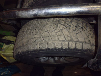 P1010020.JPG