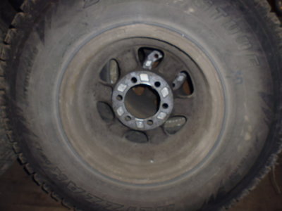 P1010022.JPG