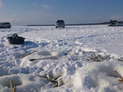 DSC_0876.jpg