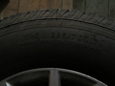 IMG_6259.JPG