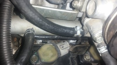 20160207_200329.jpg