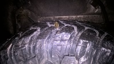 WP_20160211_06_56_54_Pro.jpg