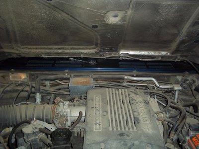 103_9900.JPG