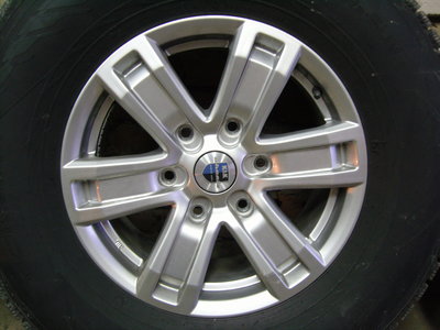 SNC13914.jpg