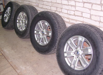 SNC13923.jpg
