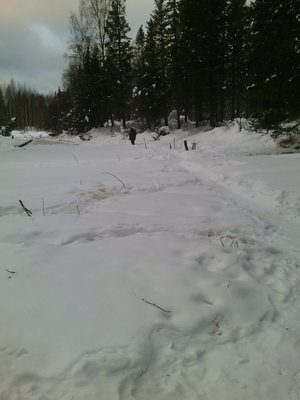 IMG_20140312_035821.jpg