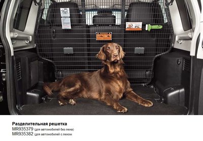 Разделительная решетка.jpg