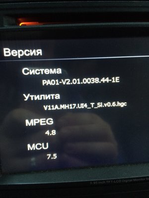 IMG_3384.JPG