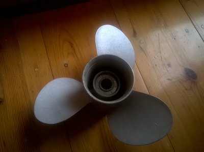 WP_20160203_10_42_36_Pro.jpg