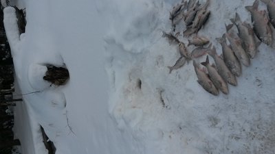20160217_141036.jpg