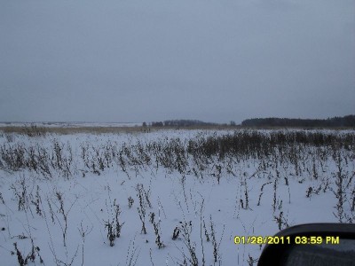 SDC15877.JPG