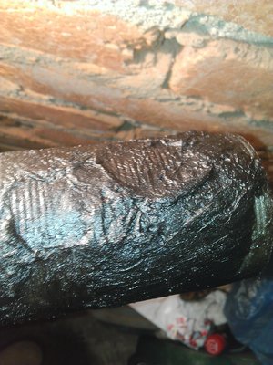 WP_20160227_002.jpg