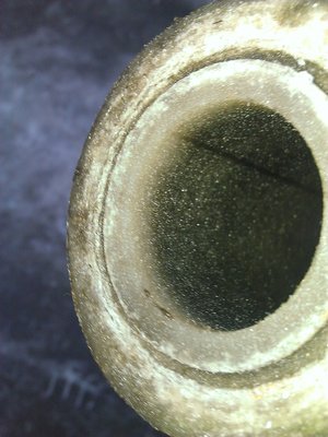 WP_20160227_011.jpg