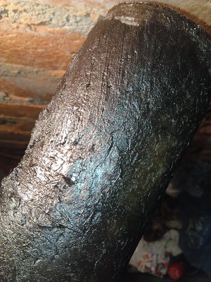 WP_20160227_001.jpg
