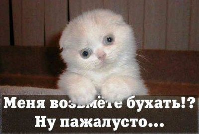 1225373647_zvrinadpisi_44.jpg