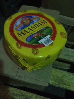 масдам.jpg