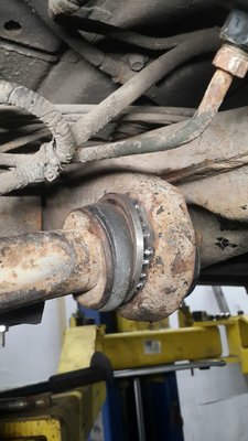 IMG-20160229-WA0030.jpg