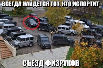 1400072925_avtoprikoly-14.jpg