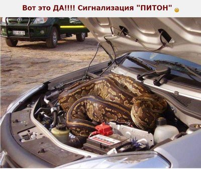 сигналка.jpg
