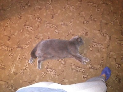 IMG_20160205_211722.jpg