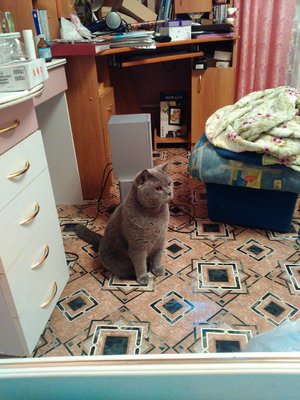 IMG-20160205-WA0007.jpeg