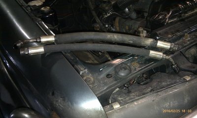 IMAG0647.jpg