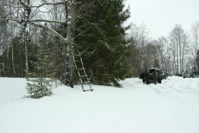 IMG_3182.JPG