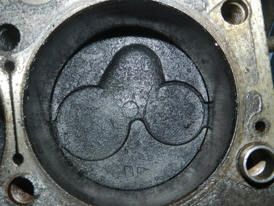 DSCN8384.JPG